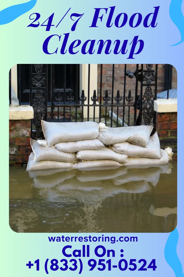 24/7 Flood Cleanup in Ames, NY