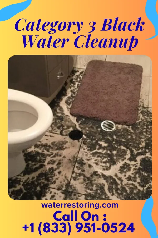 Category 3 Black Water Cleanup in Ames, NY