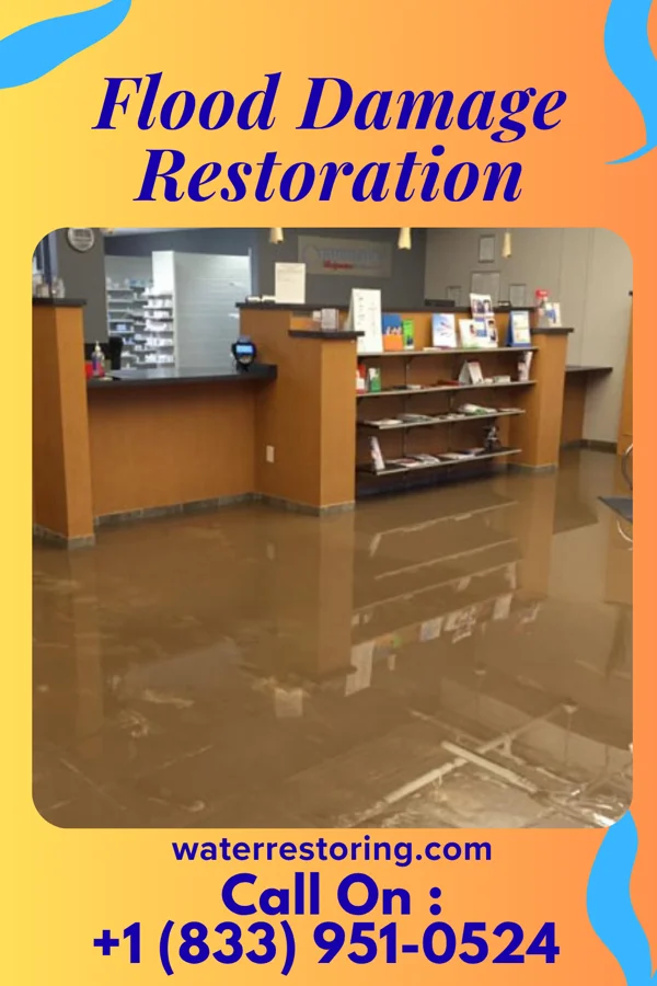 Flood Damage Restoration in Ames, NY
