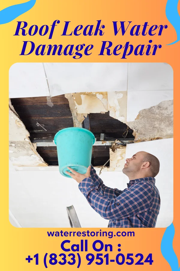 Roof Leak Water Damage Repair in Ames, NY