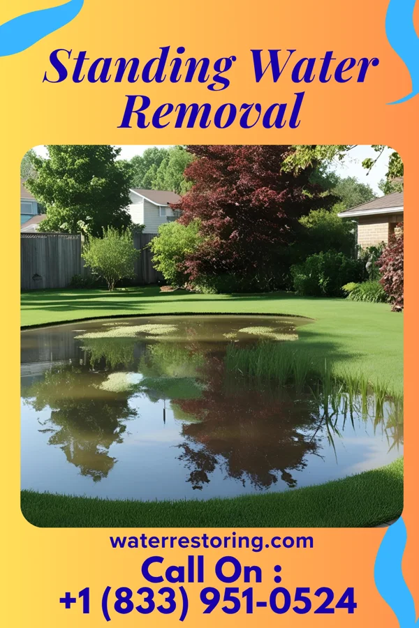 Standing Water Removal in Ames, NY